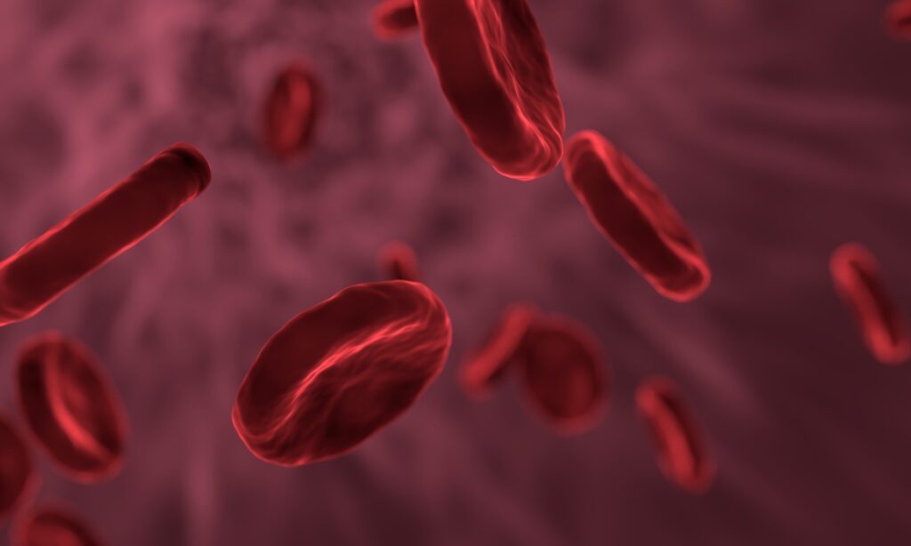 red blood cells flowing through the bloodstream